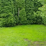 Tavasz